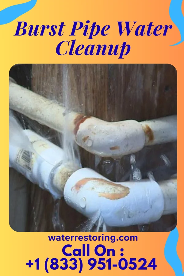 Burst Pipe Water Cleanup in Motley, VA