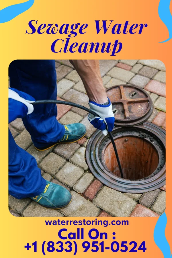 Sewage Water Cleanup in Motley, VA